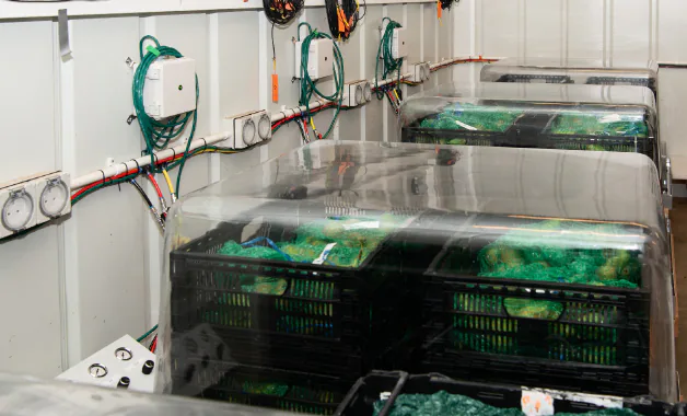 PQC controlled-atmosphere research facilities